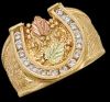 Filename=horseshoe-ring-diamond.jpg
Filesize=39KB
Dimensions=349x326
Date added=Jun 22, 2008 horseshoe-ring-diamond.jpg